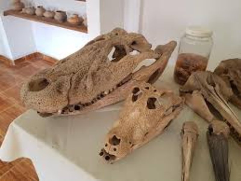 Museo Chuchini (Arqueológico e Histórico)