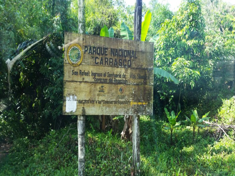 Parque Nacional Carrasco